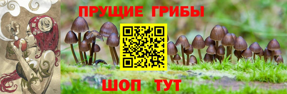 Галлюциногенные грибы ЛСД  Вход с VPN  Галлюциногенные грибы MAGIC MUSHROOMS  Луга 
